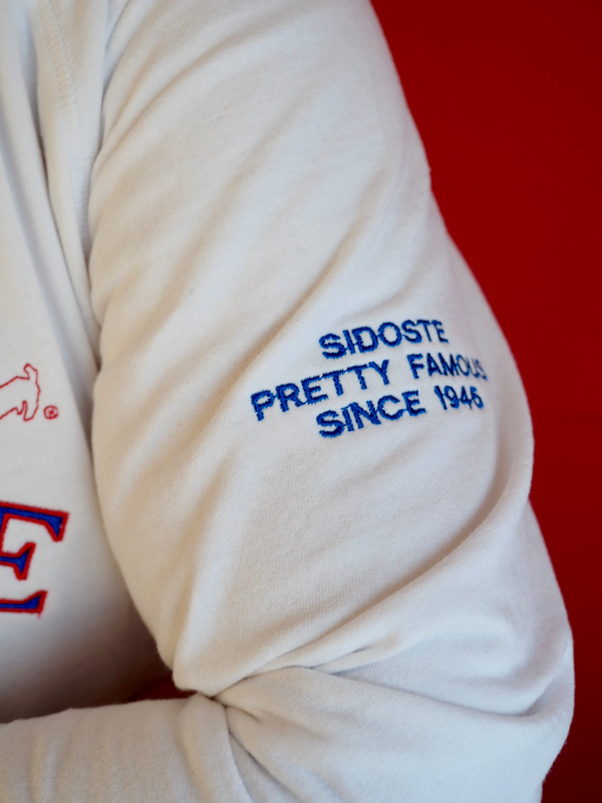 Pretty Famous Since 1945 -college – kuva 4